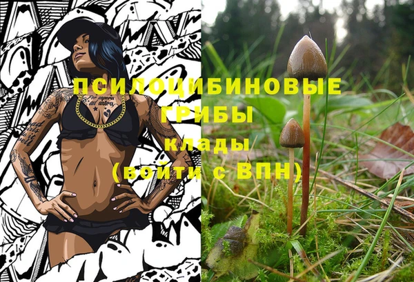 дурь Михайловск