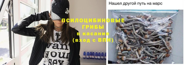 дурь Михайловск