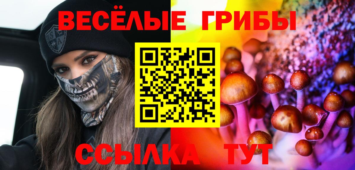 Усть-Лабинск  Галлюциногенные грибы мицелий  Вход с VPN 